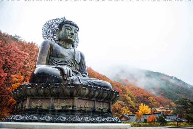 Autumn Limited: Seoraksan X Maple Mountain Cable Car Tour - Tips for a Memorable Autumn Limited Tour