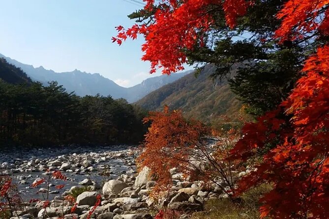 Autumn Limited: Seoraksan X Maple Mountain Cable Car Tour - Booking and Cancellation Policies