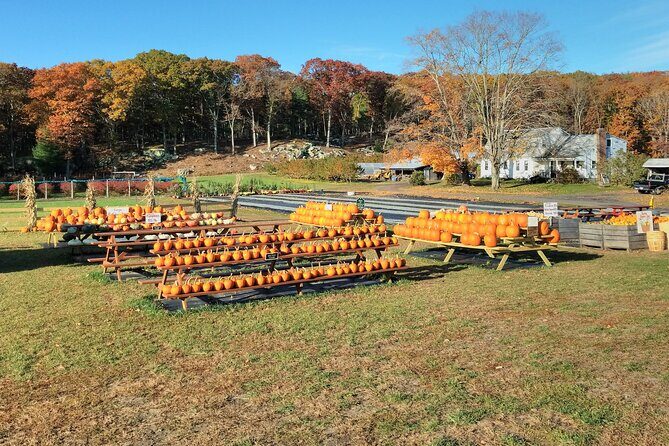 Autumn Tour in New England - Final Thoughts