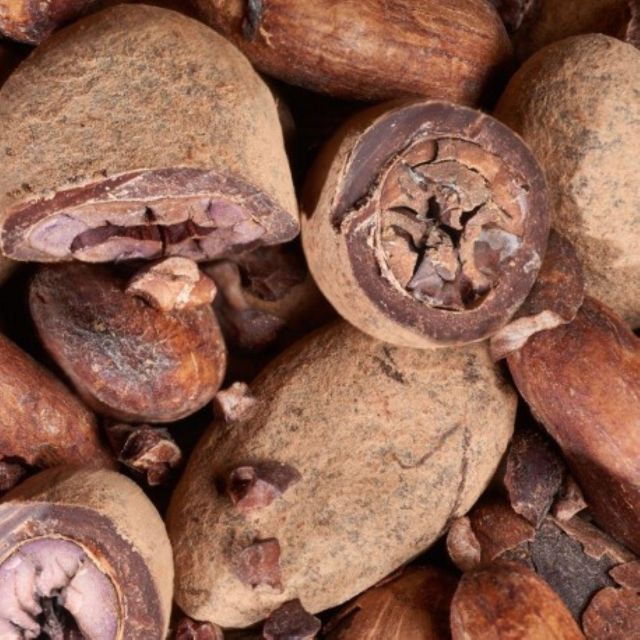 Auxerre: Chocolate Tour With Tasting - Tour Details