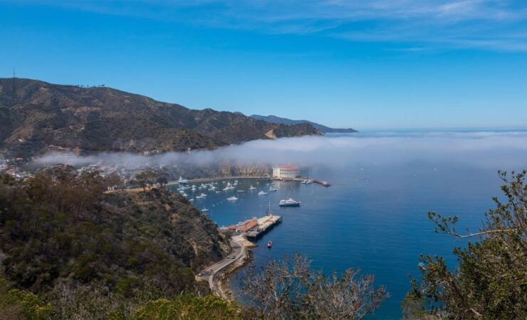 Avalon, Catalina Island: Island Adventure Tour - Tour Duration and Guide