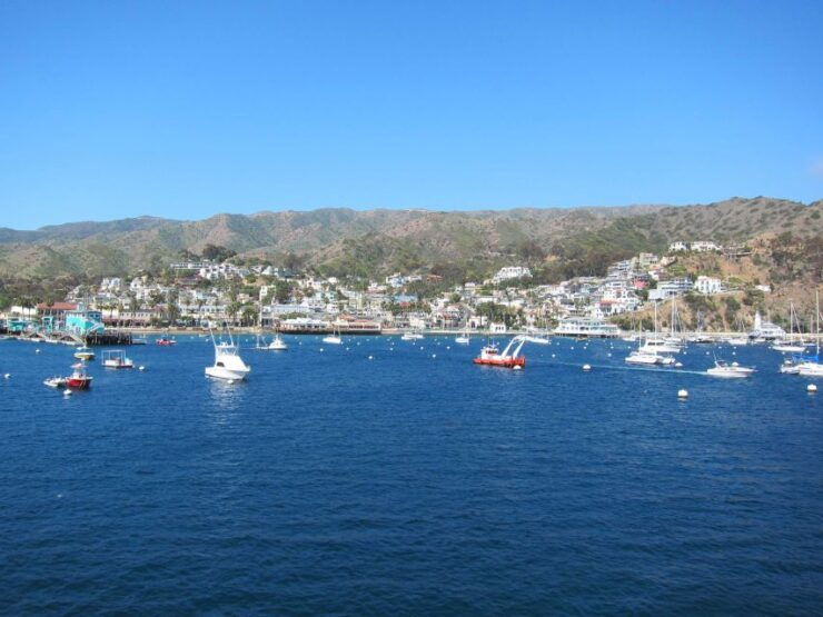 Avalon City: Sightseeing and History Tour With Audio App - Experience Highlights