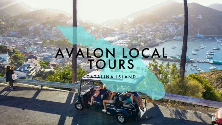 Avalon: Private Golf Cart Tour With Driver-Guide - Good To Know