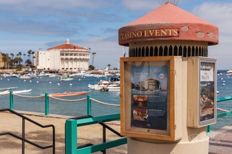 Avalon: Private Golf Cart Tour With Driver-Guide - Tour Duration and Availability