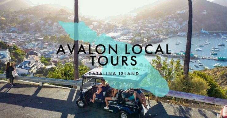 Avalon: Private Golf Cart Tour With Driver-Guide - Itinerary and Location Details