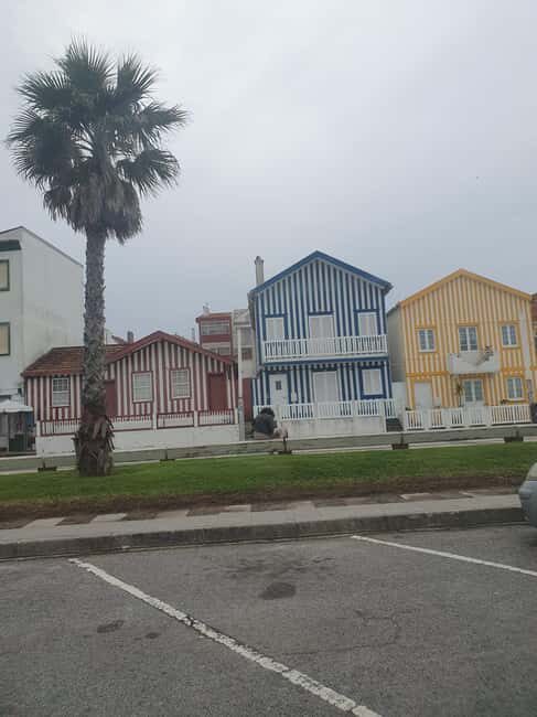 Aveiro and Coimbra private tour from Porto - The Sum Up