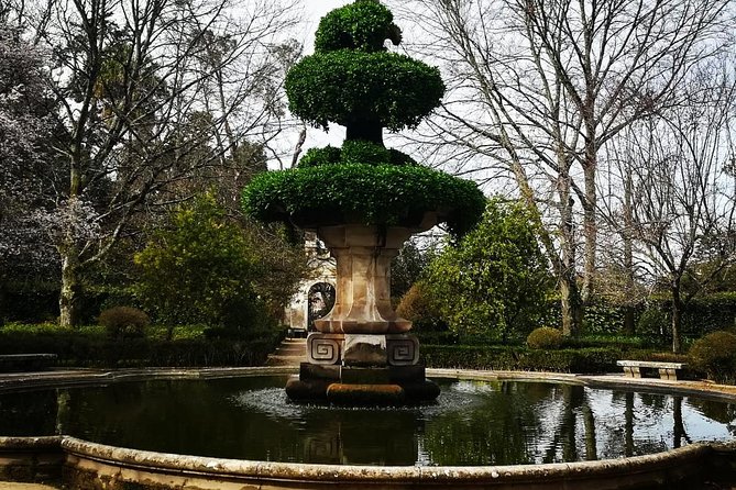 Aveiro and Coimbra Private Tour From Porto - Discovering the Fish Market and Moliceiros