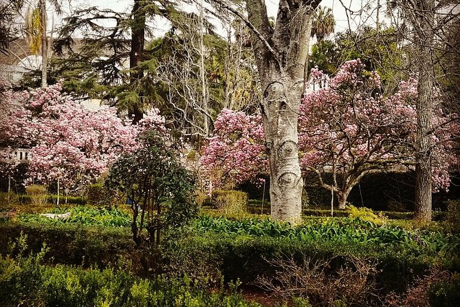 Aveiro and Coimbra Private Tour From Porto - Optional Cruise on Ria Aveiro