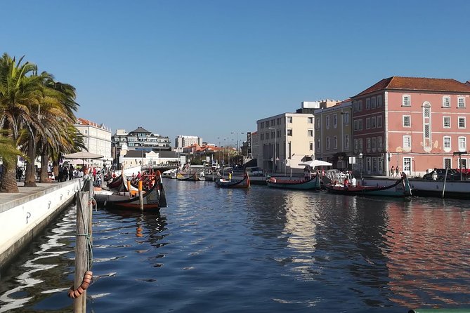 Aveiro and Coimbra Small Group Tour With River Cruise From Porto - Challenges and Suggestions for Improvement