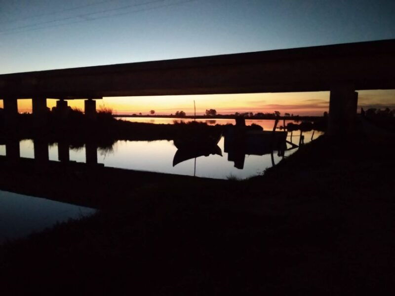 Aveiro: Boat Cruise and City Walking Tour with Sweet Tasting - The Itinerary in Detail