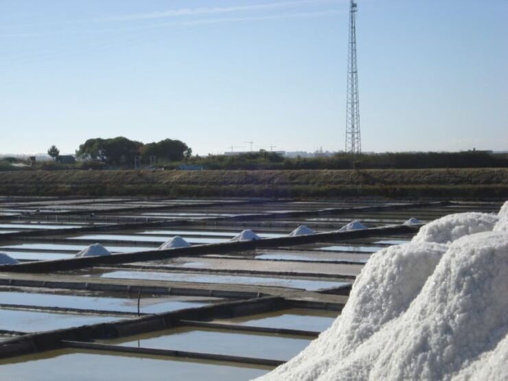 Aveiro: Boat Cruise and City Walking Tour With Sweet Tasting - Activity Details