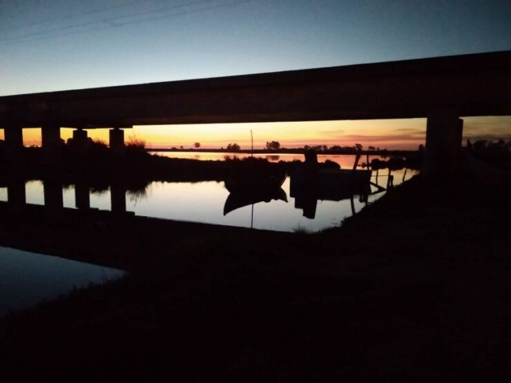 Aveiro: Boat Cruise and City Walking Tour With Sweet Tasting - Experience Highlights