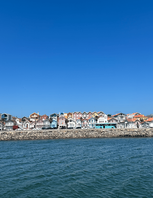 Aveiro Boat Tour - Language and Accessibility