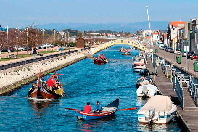 Aveiro Canal Cruise in Traditional Moliceiro Boat - In-Person Guide With Informative Commentary