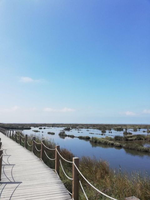 Aveiro: City of Canals Bike Tour - Tour Details