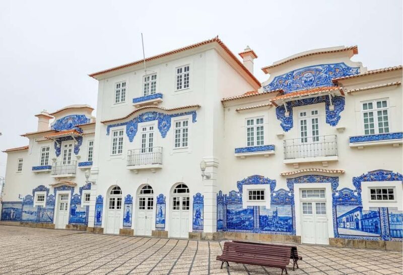 Aveiro City Tour: Private day trip with tickets included. - Salt Pans: A Natural & Cultural Heritage Site