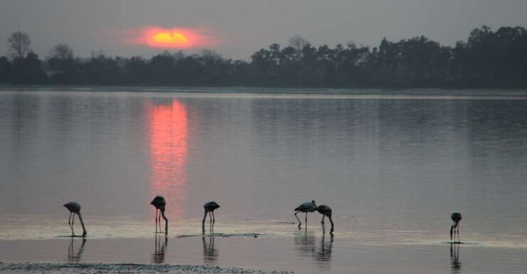 Aveiro/Coimbra Private City Tour: Meal Cruise & ALL Included - Inclusions