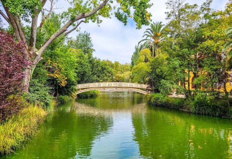 Aveiro: Cruise, Museums & Heritage Tickets Included - The Sum Up