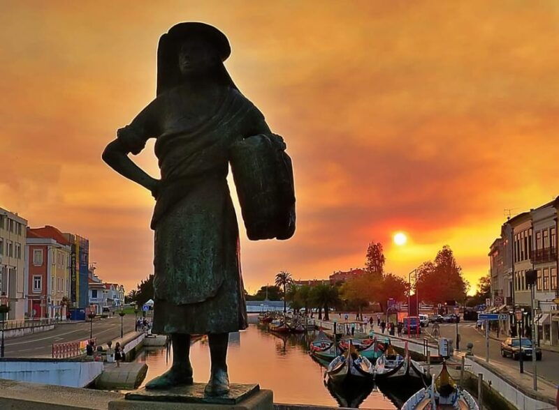 AVEIRO E COSTA NOVA: Private Full-Day Tour w/Boat from Porto - Good To Know