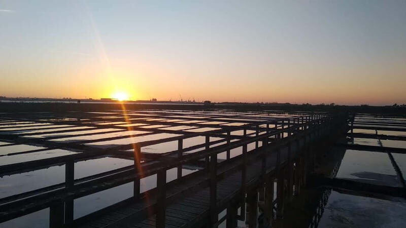 Aveiro Essential: Boat, Walking Tour, Sweets & Ribbons - Exploring the Aveiro Experience in Detail