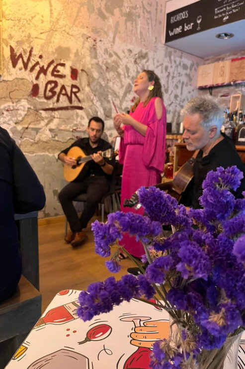 Aveiro: Fados and Dinner - Good To Know