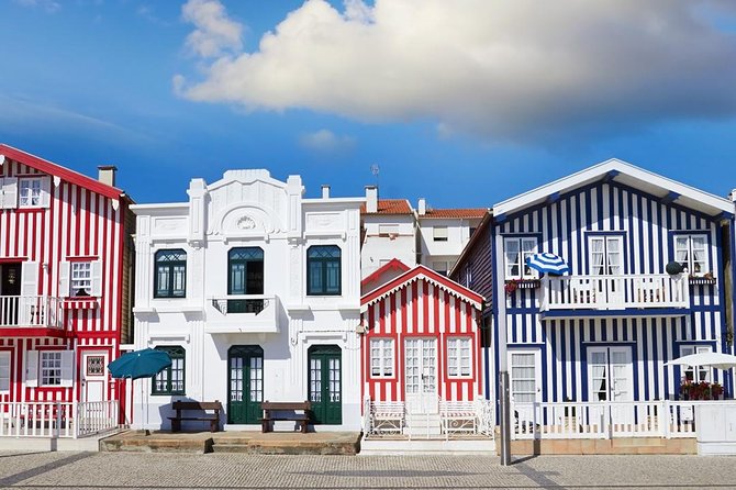Aveiro Half-Day Tour With Moliceiro River Cruise From Porto - Tour Highlights