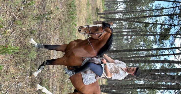 Aveiro: Horse Riding Experience With Instructor - Activity Details