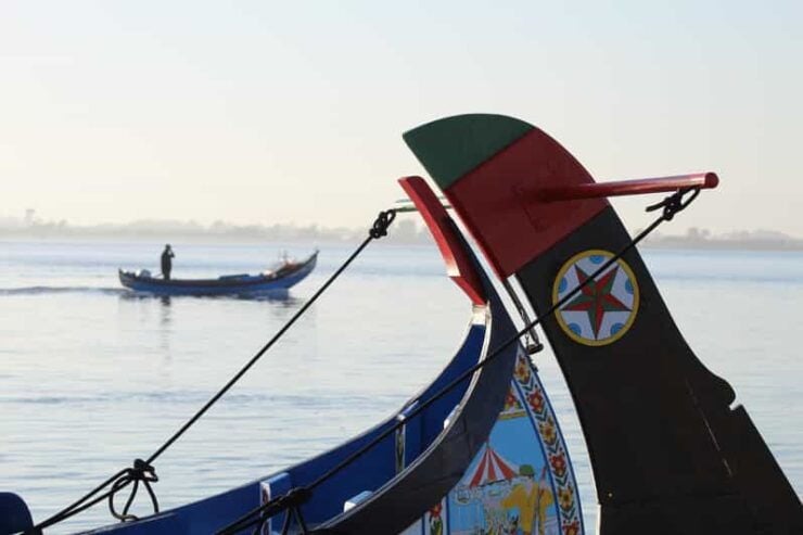 Aveiro - Murtosa: Moliceiro Boat Trip - Highlights of the Experience