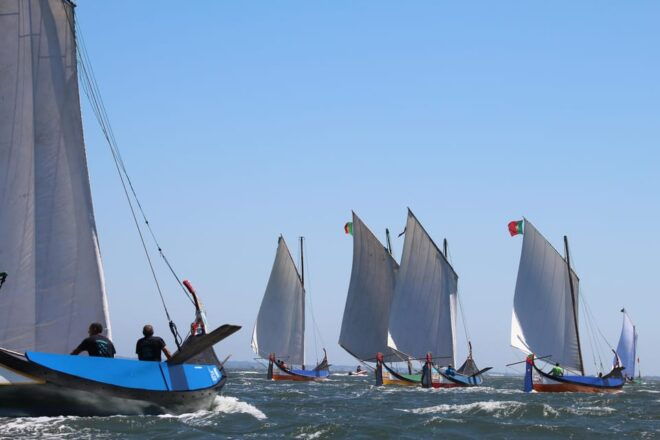 Aveiro - Murtosa: Moliceiro Boat Trip - Details of the Tour