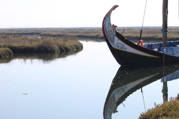 Aveiro - Murtosa: Moliceiro Boat Trip - Frequently Asked Questions