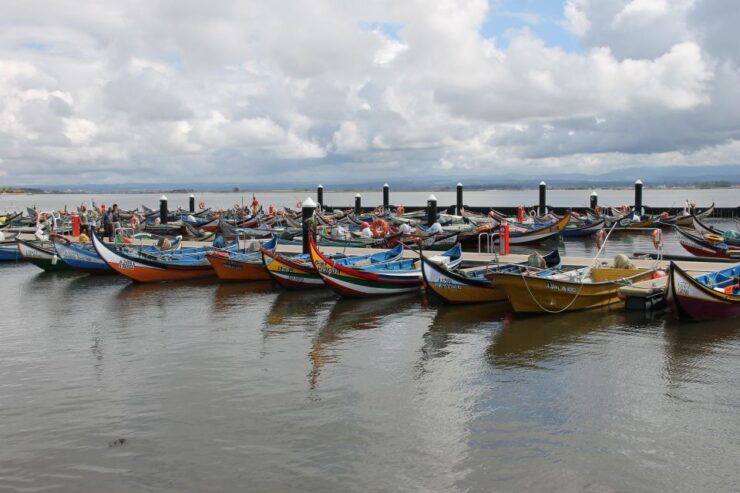 Aveiro Privat City Tour W/ Local Boat 1 H Cruise & Egg Sweet - Booking Details