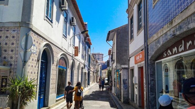 Aveiro Private Tour, Bairrada Wine Cellars & Roasted Piglet - Tour Details
