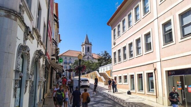 Aveiro Private Tour, Bairrada Wine Cellars & Roasted Piglet - Important Information