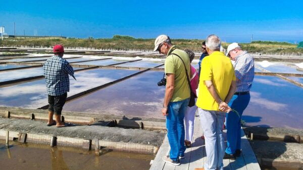 Aveiro Private Tour, Bairrada Wine Cellars & Roasted Piglet - Background