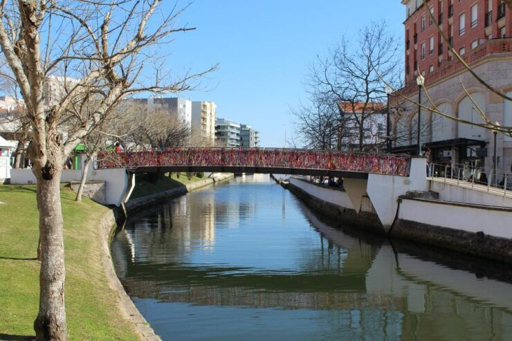 Aveiro: Private Walking Tour in the City and Moliceiro Boat - Tour Details