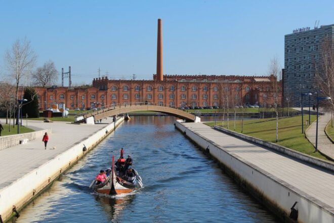 Aveiro: Private Walking Tour in the City and Moliceiro Boat - Important Information