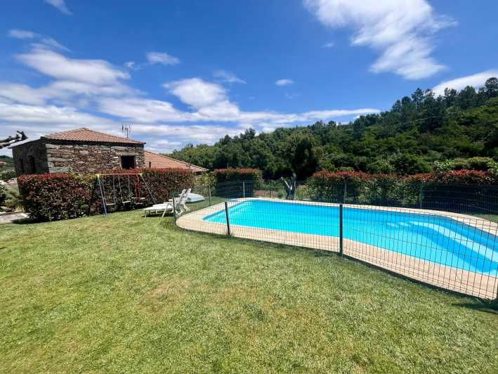 Aveiro: Private Wine Tour in Douro and Bairrada - Itinerary Highlights