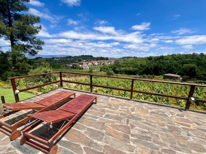 Aveiro: Private Wine Tour in Douro and Bairrada - Transportation and Comfort