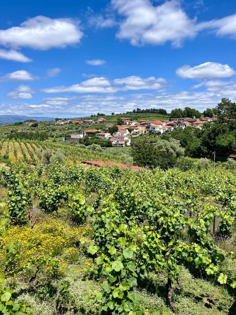 Aveiro: Private Wine Tour in Douro - Good To Know