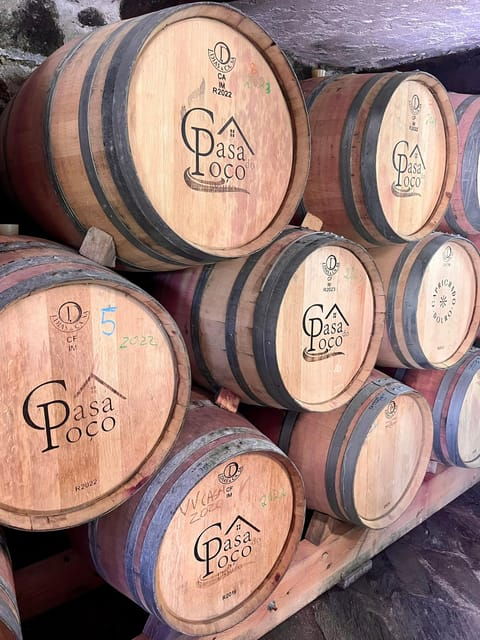 Aveiro: Private Wine Tour in Douro - Experience Details
