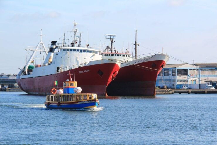 Aveiro: Ria Highlights Boat Tour - Experience Highlights
