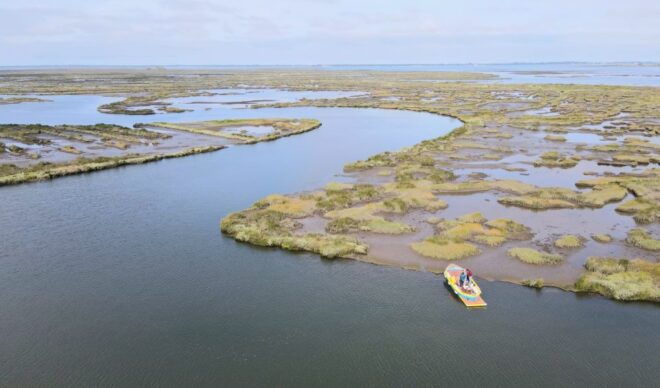Aveiro: Ria Highlights Boat Tour - Customer Reviews
