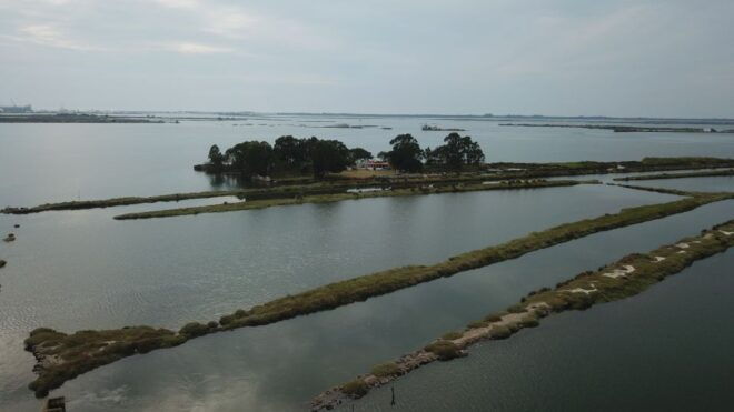Aveiro: Ria Highlights Boat Tour - Frequently Asked Questions