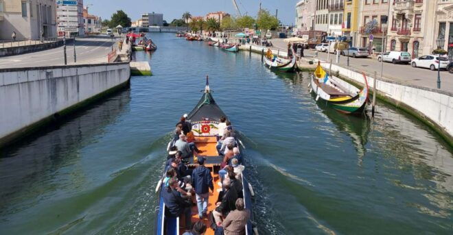 Aveiro: Stories, Canals, and Azulejos Guided Walking Tour - Tour Highlights