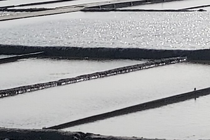 Aveiro: Tour and Cod Tasting in a Private House - Cod Tasting Experience