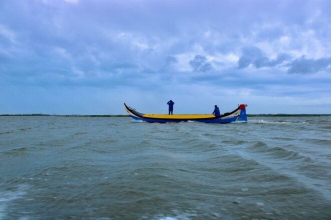 Aveiro: Typical Boat Tour With Tasting - 90 Min - Experience Highlights