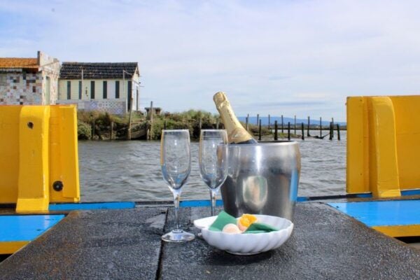 Aveiro: Typical Boat Tour With Tasting - 90 Min - The Sum Up