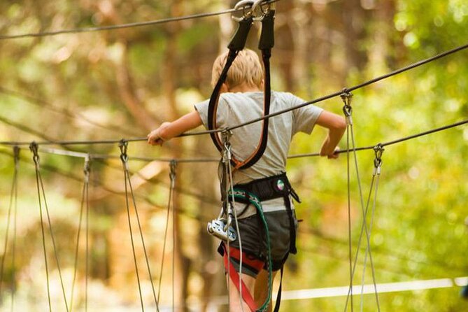 Aventura Amazonia Adventure Park With Ziplines & High-Rope Course - How to Get There