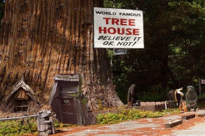 Avenue of the Giants Redwoods Private Day Tour From San Francisco - Tour Pricing and Booking Details