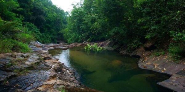 Avian Discovery and Cycling Adventure in Kitulgala - Common Questions